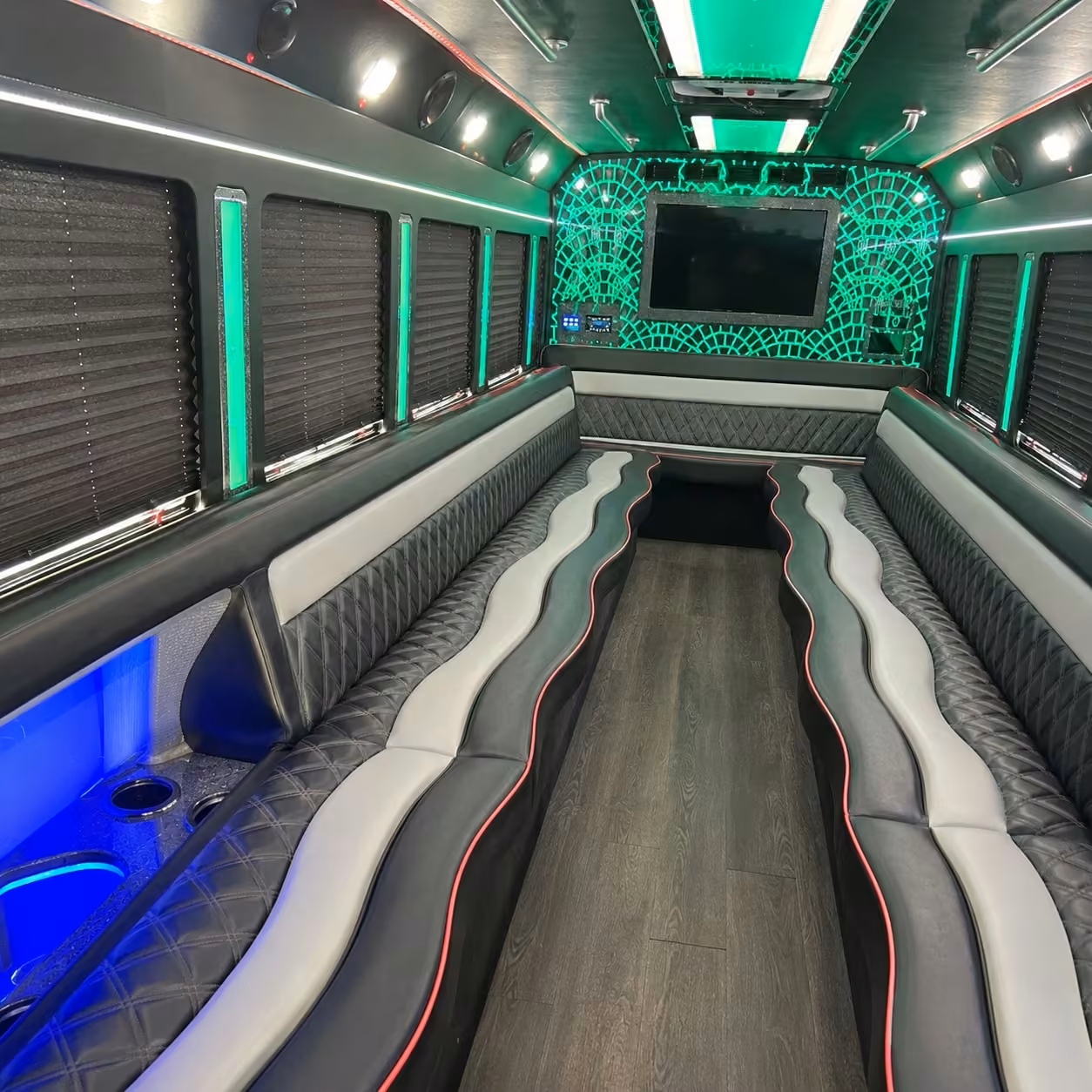 20 passenger party bus interior